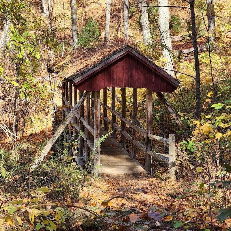 Gillette Castle Woodland Trails, East Haddam