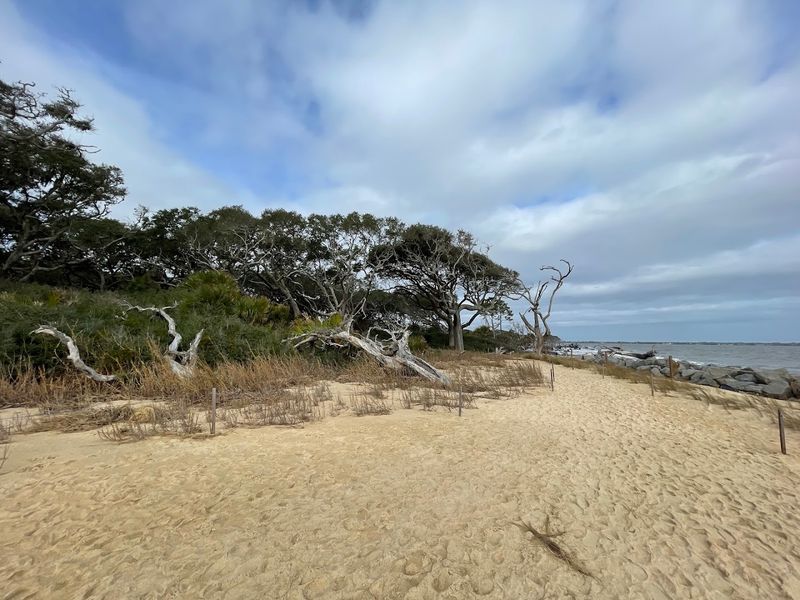 South Dunes Picnic Area
