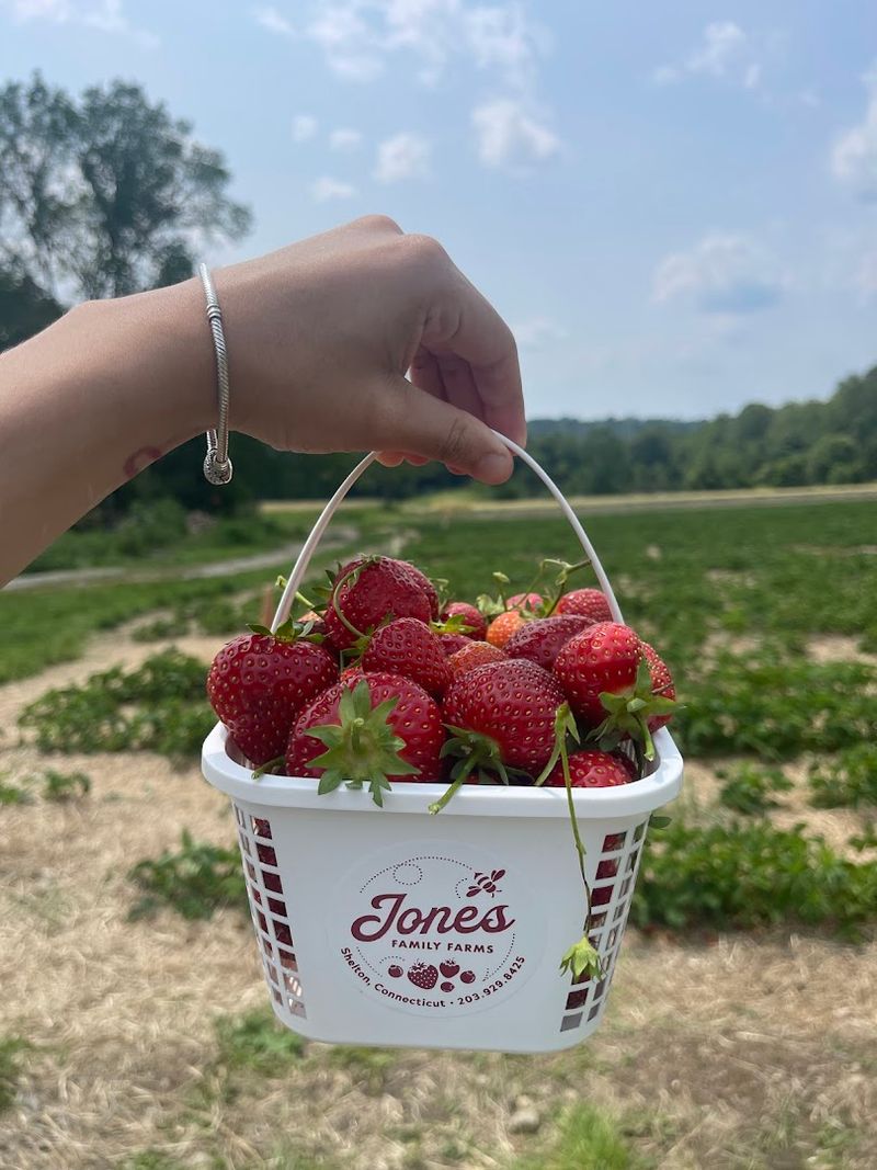 Jones Family Farms, Shelton