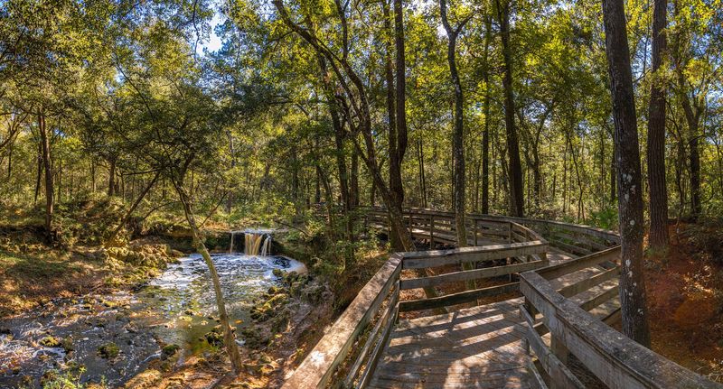 Falling Creek Falls
