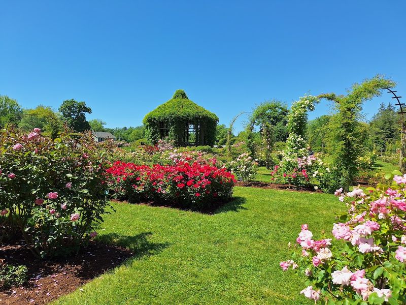 Why This Hartford Garden Feels So Dreamy