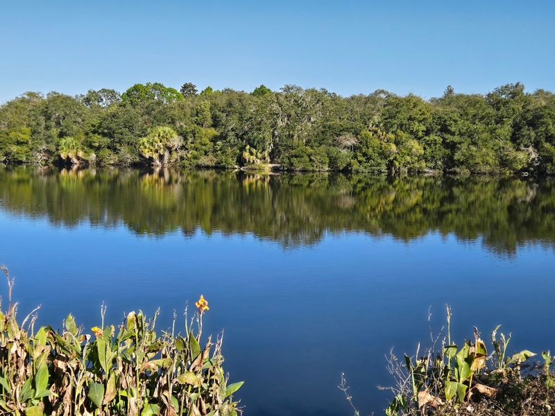 Wildlife Beyond The Turtles