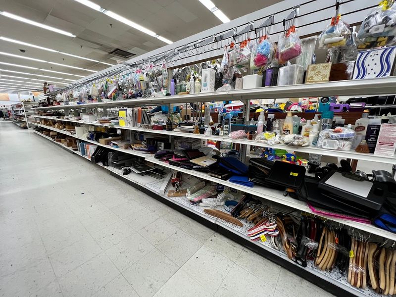 What The Shelves Hold