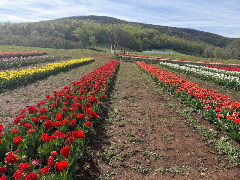 Friendly Staff And A Welcoming Farm Community Feel