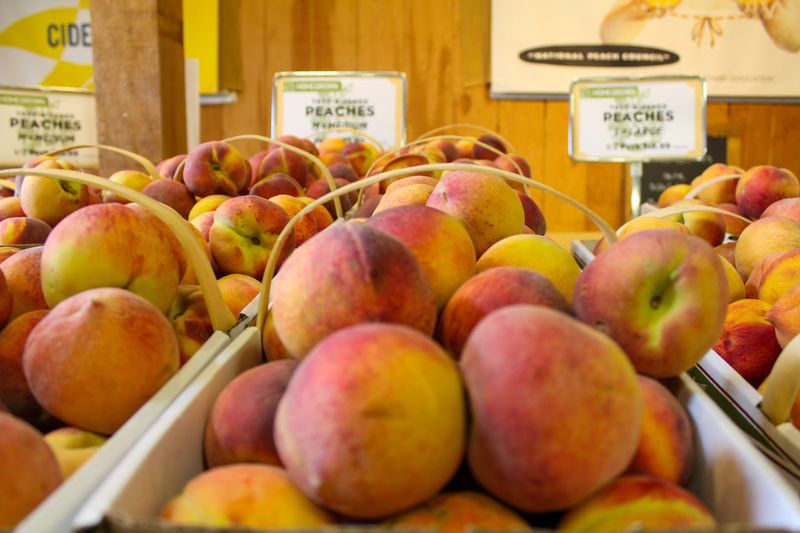 A Full-Season Destination Worth The Drive