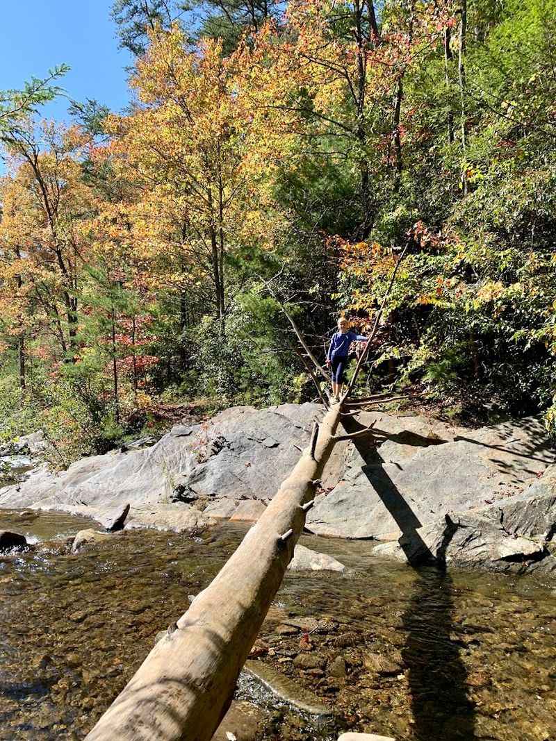 Stream Crossings That Add A Playful Element To The Hike