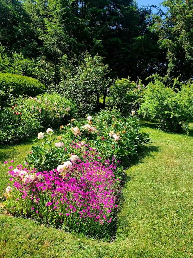 Best Time To Visit For Garden Color