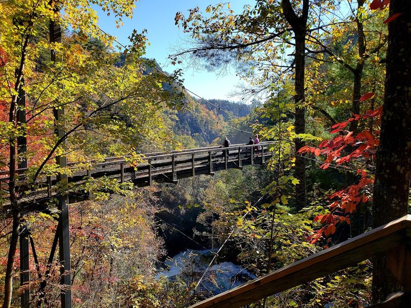 A Rich History Rooted In A Victorian Resort Town