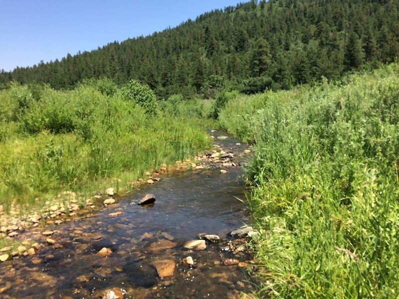 Coyote Creek State Park