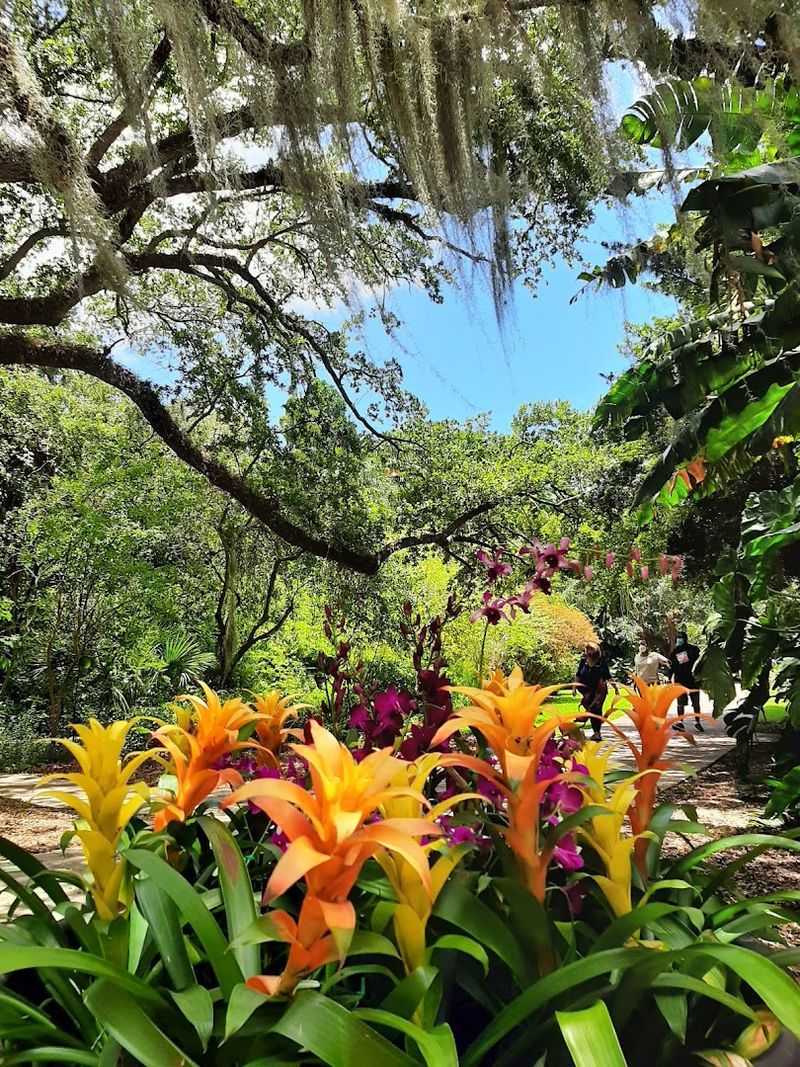 Fairchild Tropical Botanic Garden, Coral Gables