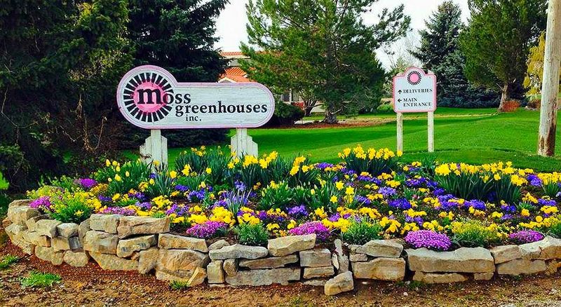 Moss Greenhouses