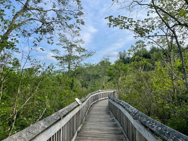 Peaceful Hikes For Beginners And Experts Alike