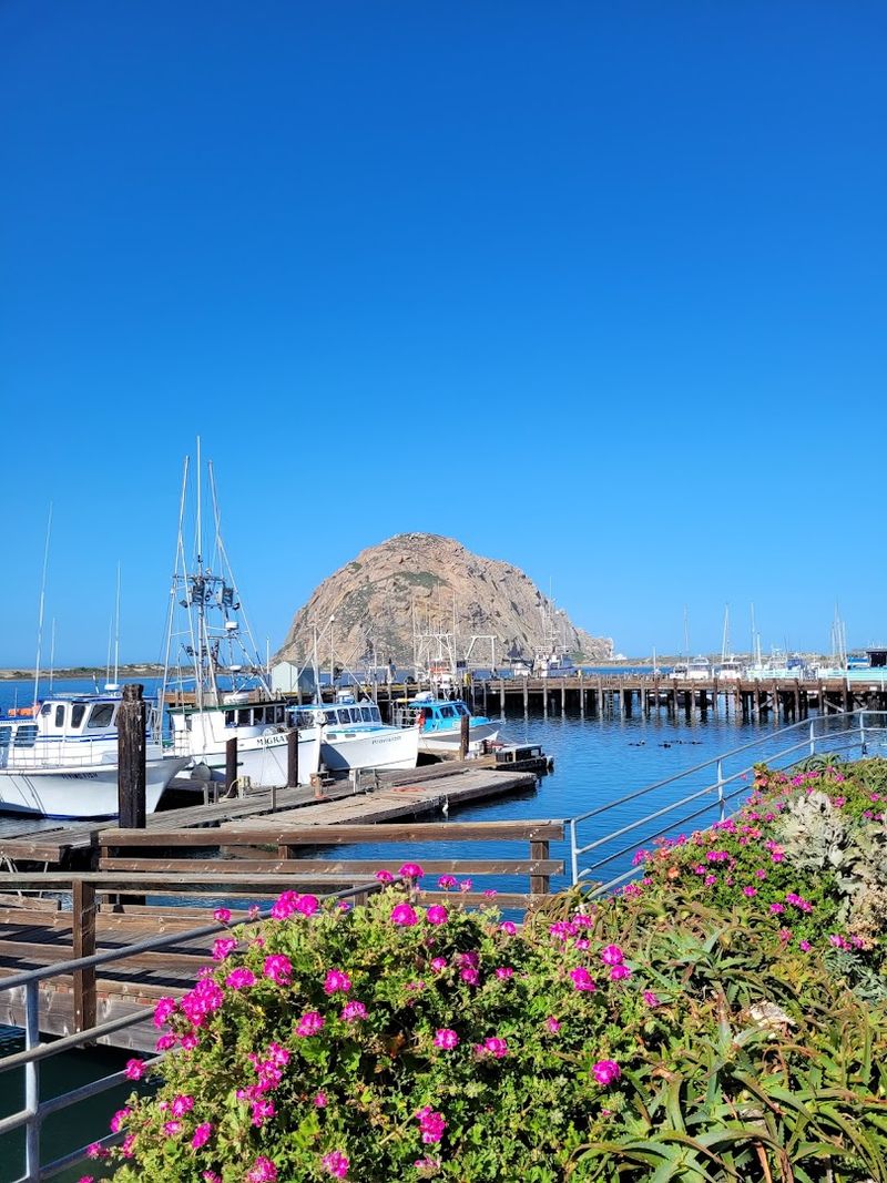 Eating Seafood While The Harbor Does Its Thing Around You