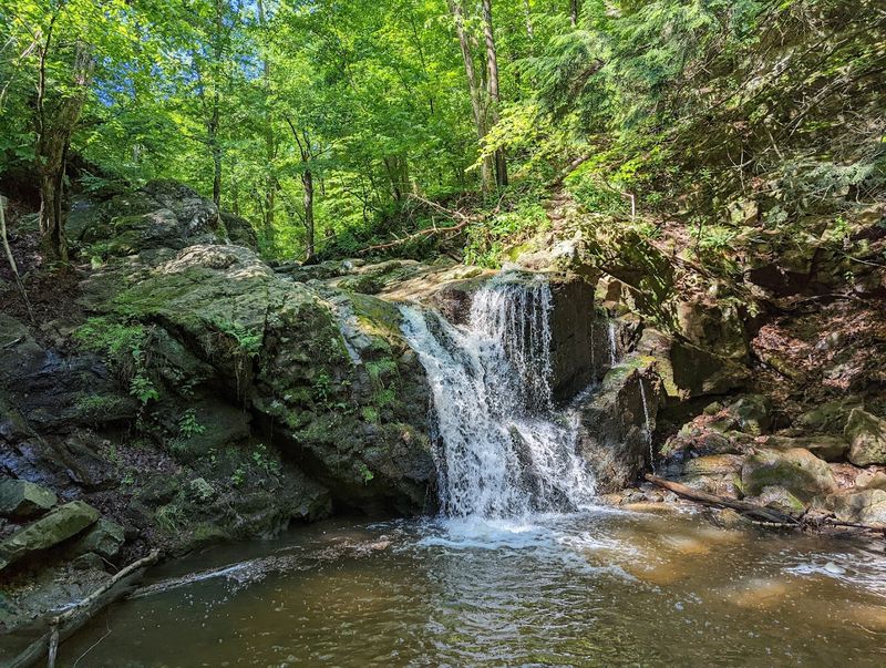 Patapsco Valley State Park