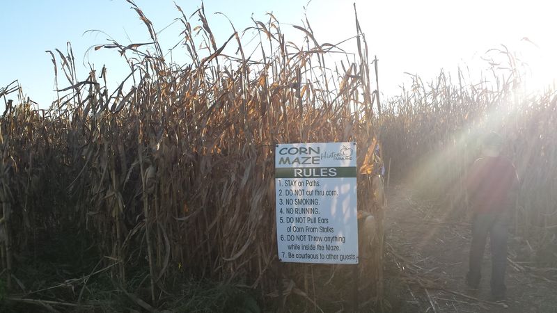 A Corn Maze That Is Actually Worth Getting Lost In