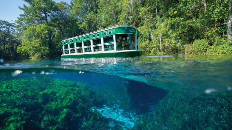 Glass-Bottom Boat Tour At Silver Springs State Park