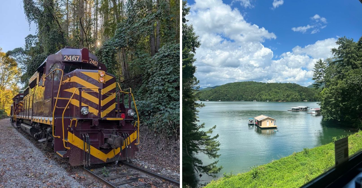 Take This Scenic Georgia Train Ride For The Ultimate Low Stress Spring Day Trip - Decor Hint
