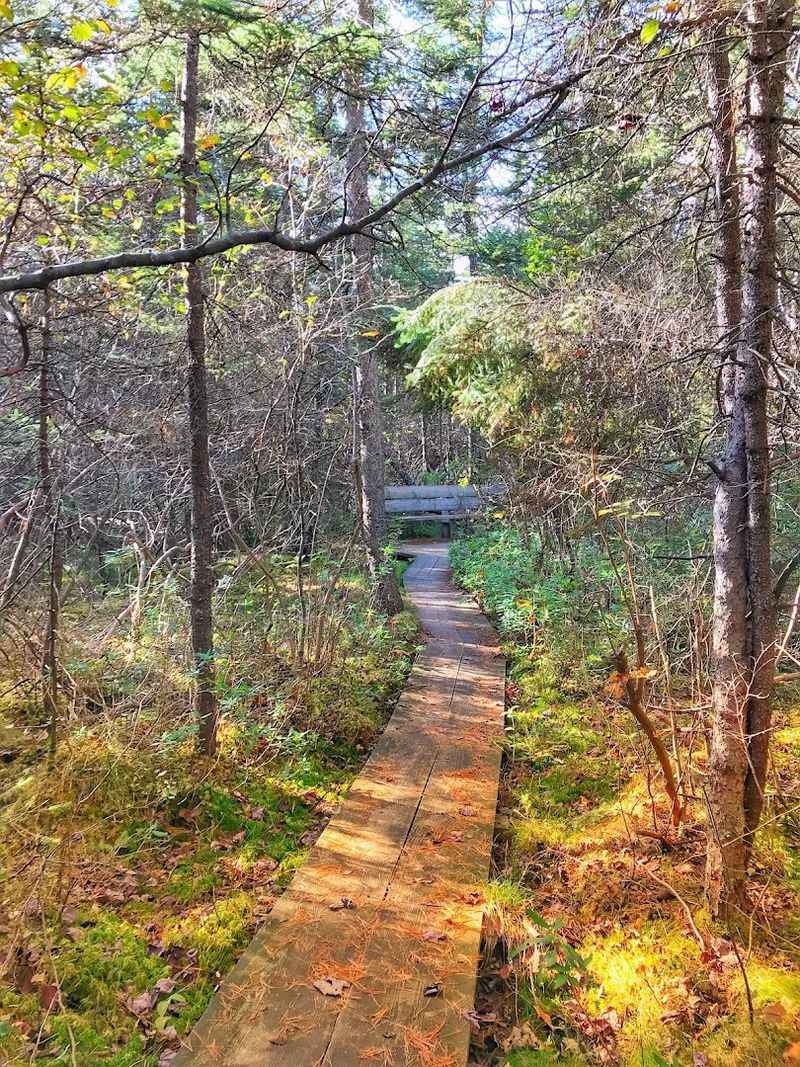 Mohawk Mountain State Park, Cornwall