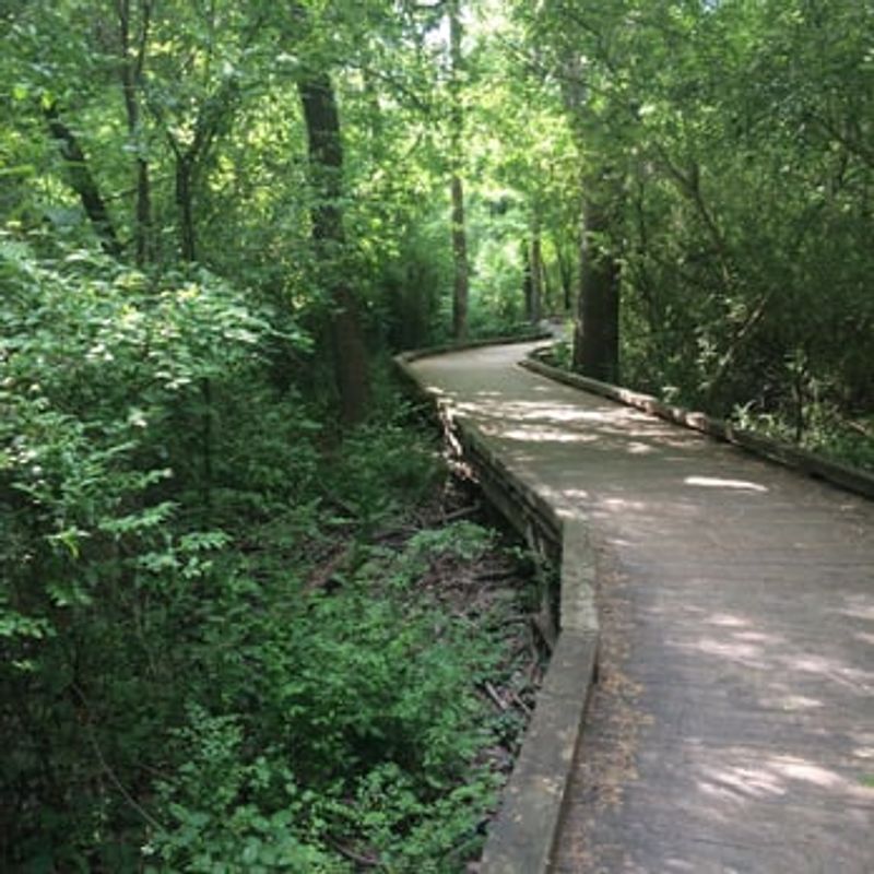 Euchee Creek Greenway Southern Trailhead