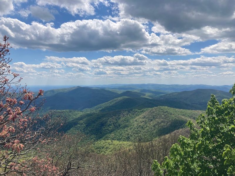 Blood Mountain