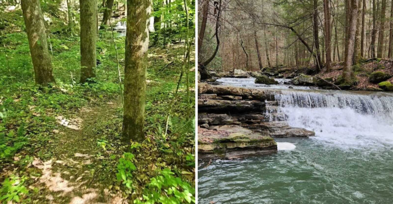 Tennessee Is Home To A Forest Trail With A Surprisingly Gorgeous Waterfall