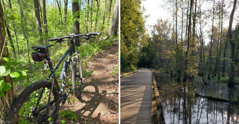 The 14 Georgia Cycling Routes That Feel Like Your Personal Escape