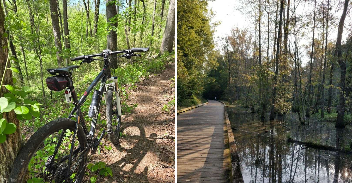 The 14 Georgia Cycling Routes That Feel Like Your Personal Escape - Decor Hint