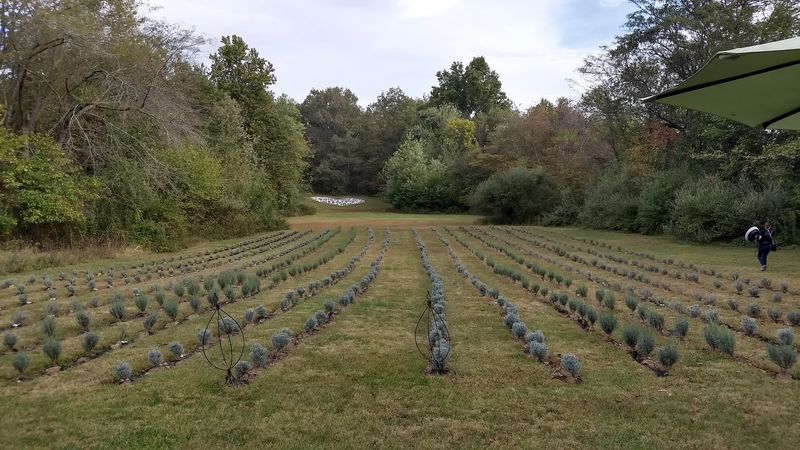 Planning Your Visit To FarmHouse Harvest