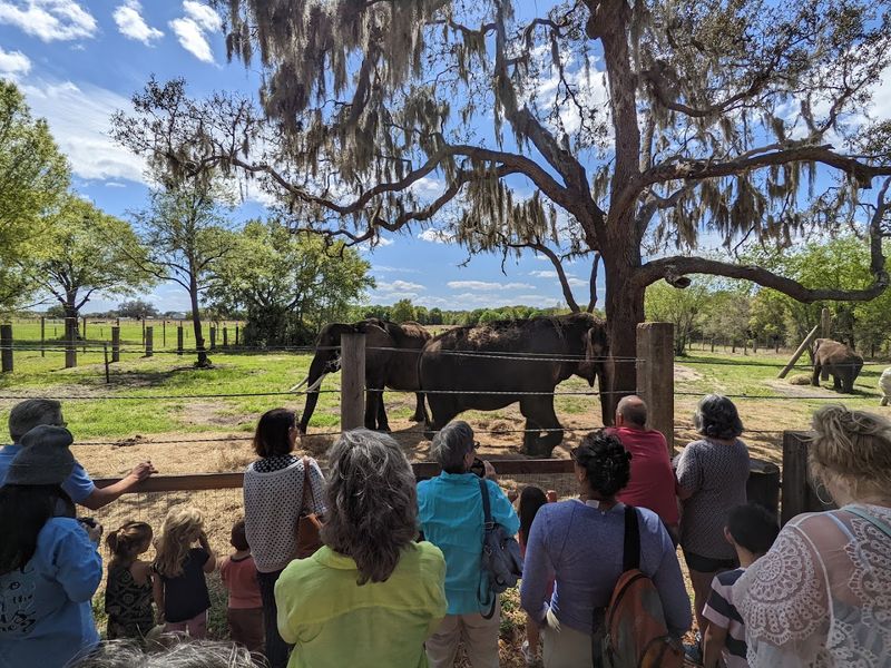 Why This Ranch Operates As A Non-Profit