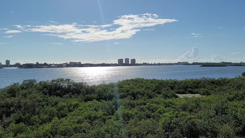 Boca Ciega Bay Views