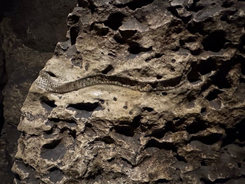 This Massive Underground Cave In Minnesota Feels Like Another World Beneath The Surface - Decor Hint Fossils Frozen In The Walls Around You