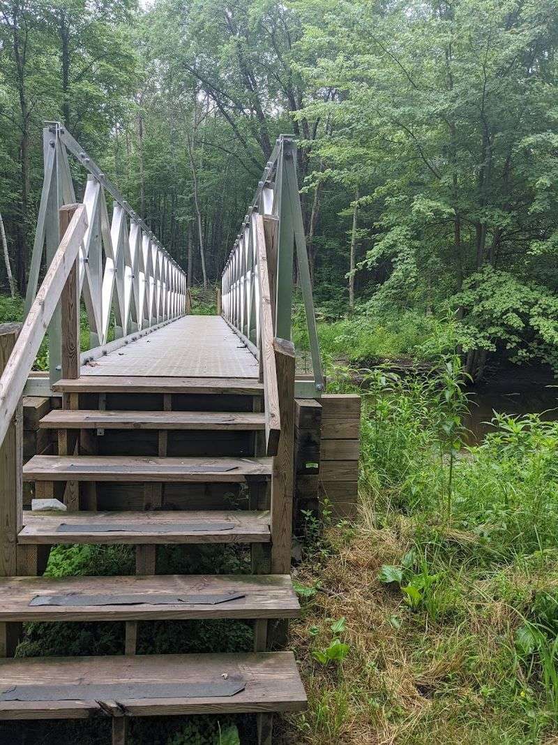 The Ancient Petroglyphs At The End Of This One Mile Michigan Hike Are Worth Every Single Step It Takes To Get There - Decor Hint One Mile That Feels Like Much More