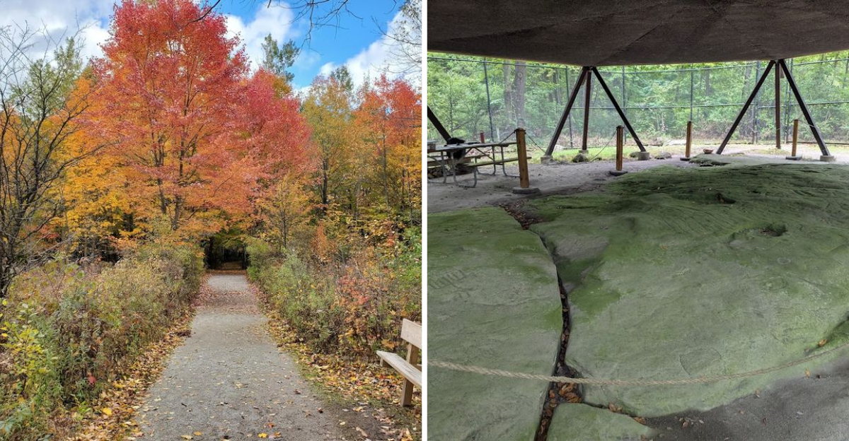 The Ancient Petroglyphs At The End Of This One Mile Michigan Hike Are Worth Every Single Step It Takes To Get There - Decor Hint