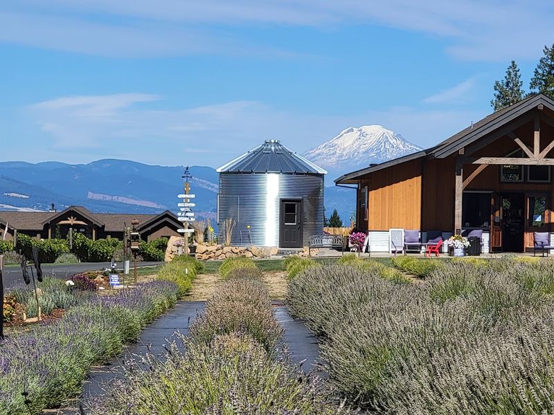 Certified Organic Farming And Pure Essential Oils