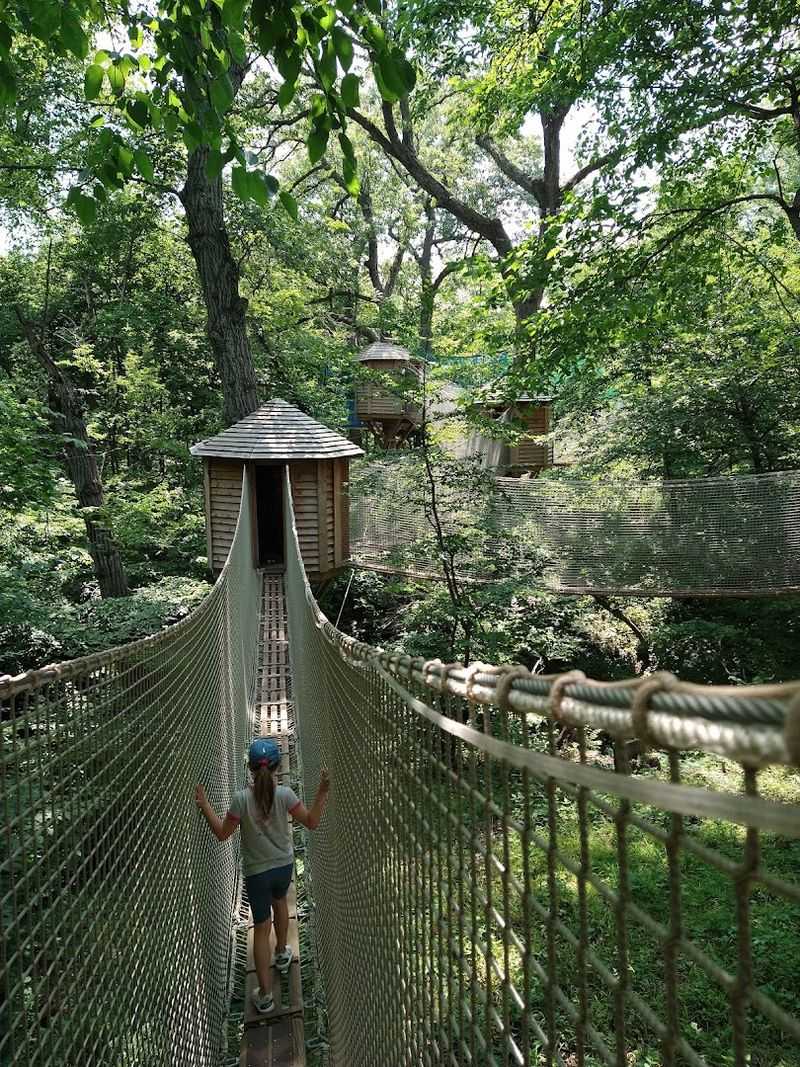 Have Some Outdoor Fun At Treetop Village