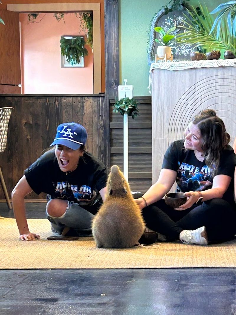 Family-Friendly Fun For All Ages