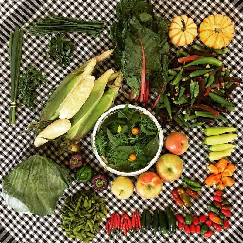 Southern Comfort Meets Creative Cooking