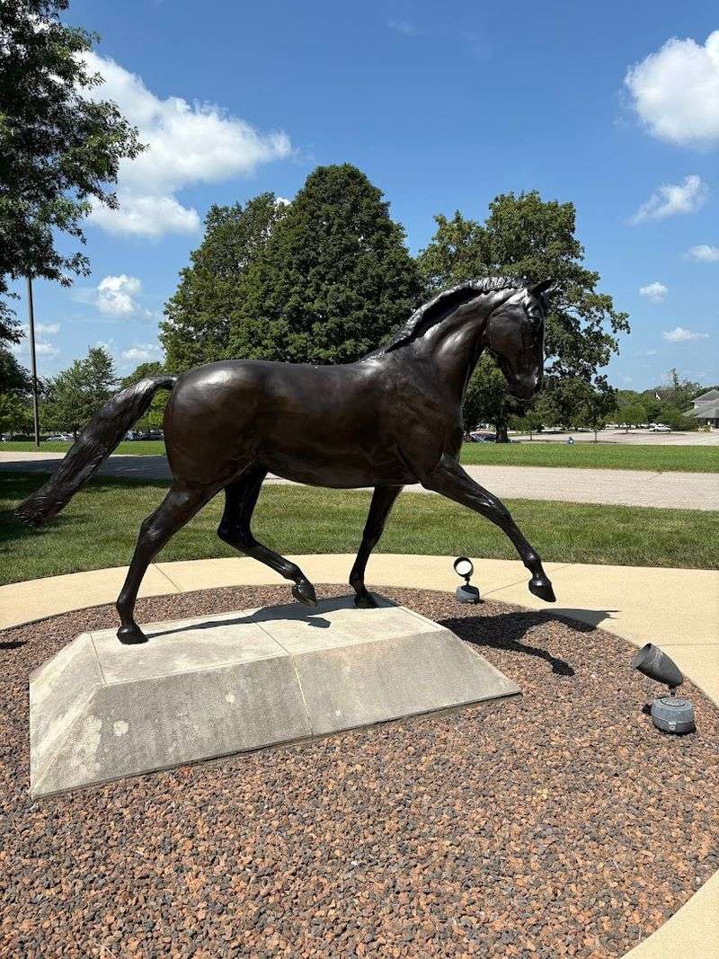 World-Class Equestrian Competition Venue