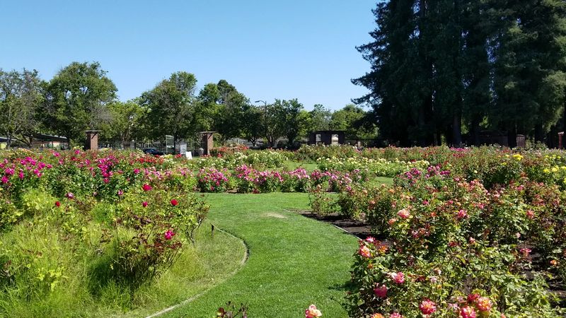 Free Admission, Easy Access, And A Layout That Welcomes Everyone