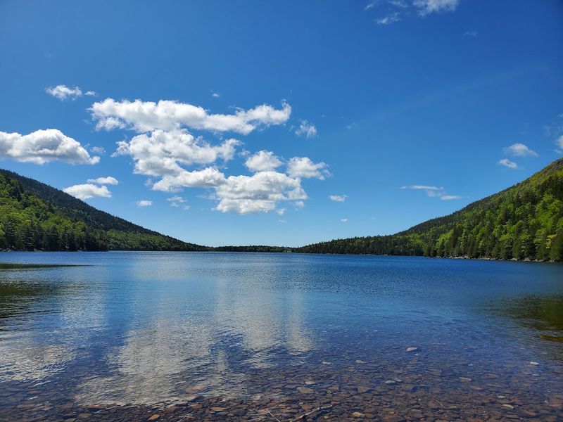 The Best Wildlife Experiences In Maine Are Hiding In These Stunning Locations - Decor Hint Acadia National Park