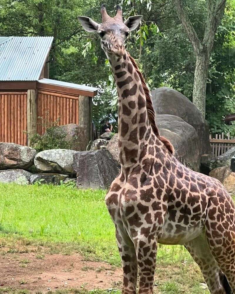 Roger Williams Park Zoo