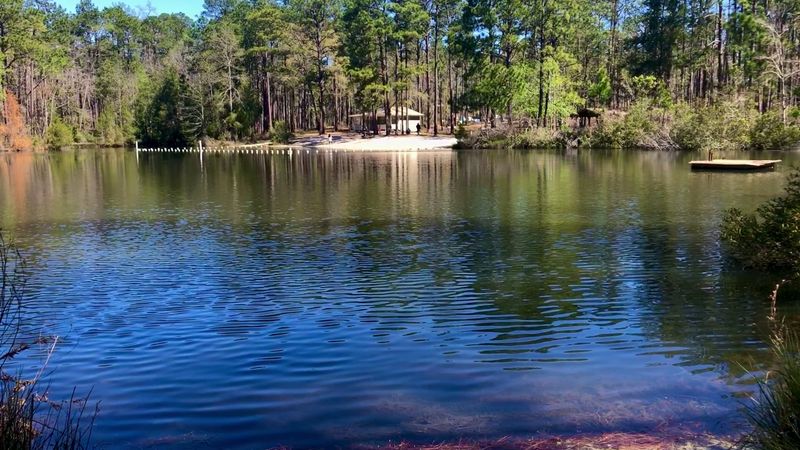 One Of Florida's Most Unexpected Waterfall Spots Is Hiding Along This Trail - Decor Hint Turtle Lake Is A Quiet Spot To Swim And Unwind