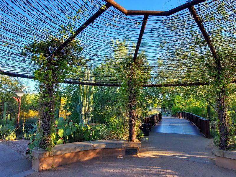 One Of Arizona's Most Beautiful Gardens Is Hiding In The Middle Of The Desert - Decor Hint A Pop-Up World That Feels Like Magic