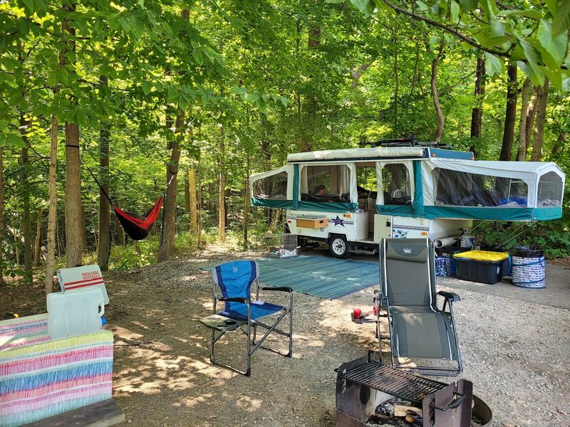 Camping Under A Forest Canopy