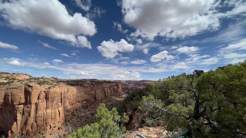 This 1-Mile Arizona Trail Reveals An Ancient Village Hidden Inside The Cliffs - Decor Hint Wildlife And Plant Life Along The Trail
