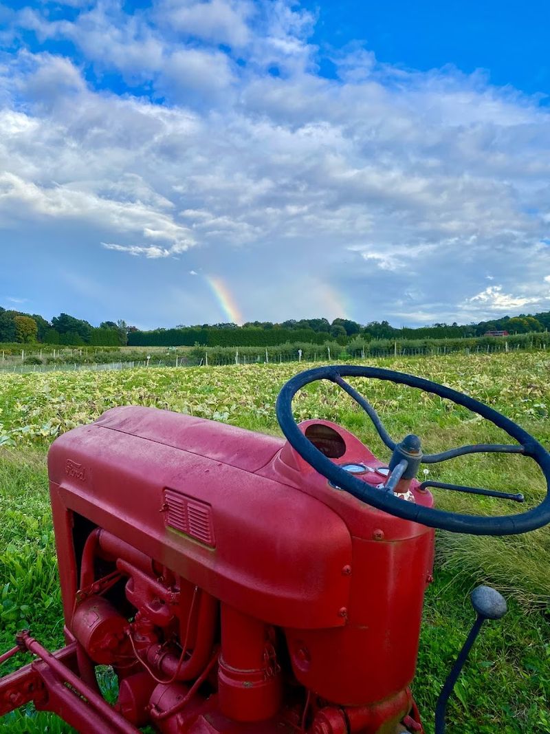 Hayrides Turn The Farm Into A Full Afternoon