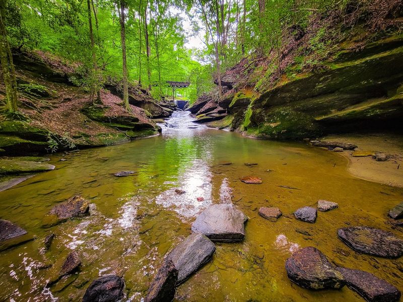 Creek Access That Kids Absolutely Love