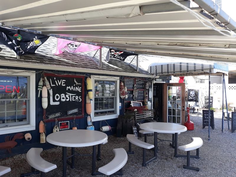 Perfect Times To Visit For Freshest Catch