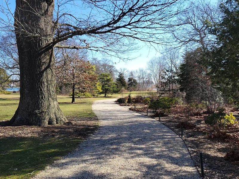 Oak Park And The Holly Walk Worth Every Step