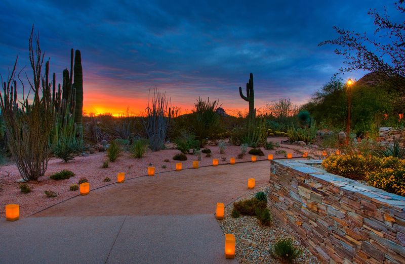 The Garden After Dark